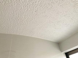 住宅浴室天井（施工後3年）